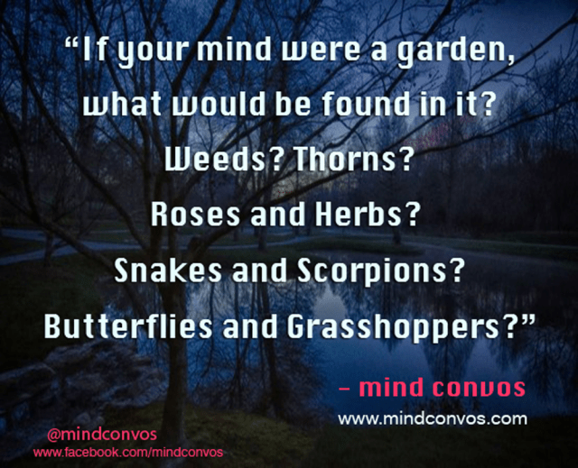 Mind-Convos--Reflections-6